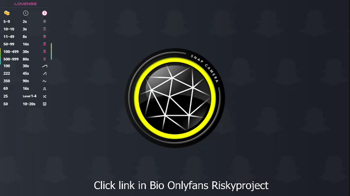 riskyproject