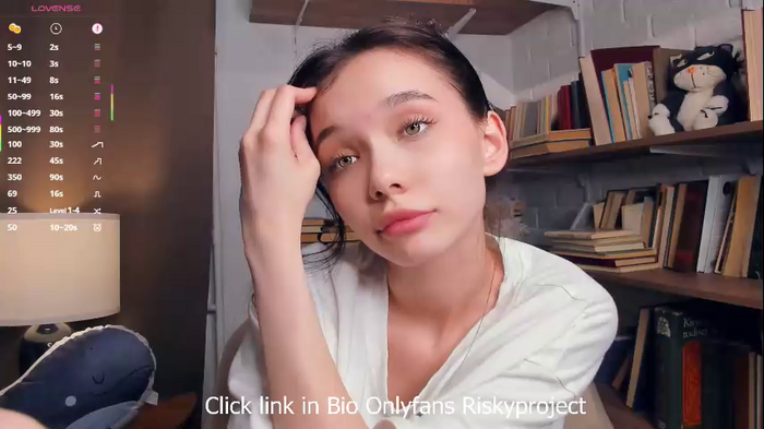 riskyproject
