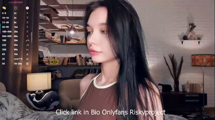 riskyproject