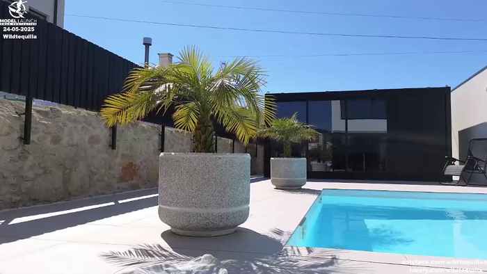 wildtequilla