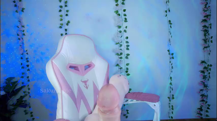 sakura_pie