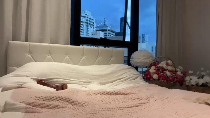mishapalmer