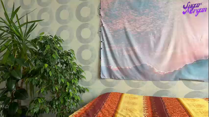 sugar_morgan