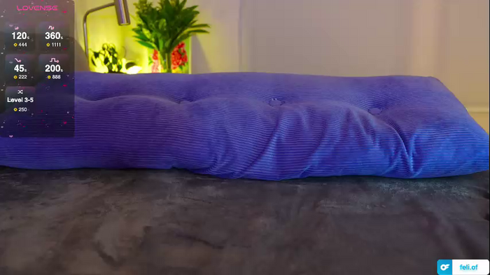 _feli_