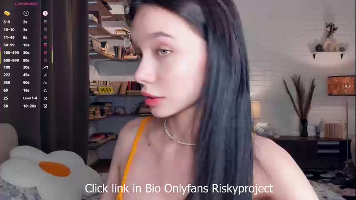 riskyproject