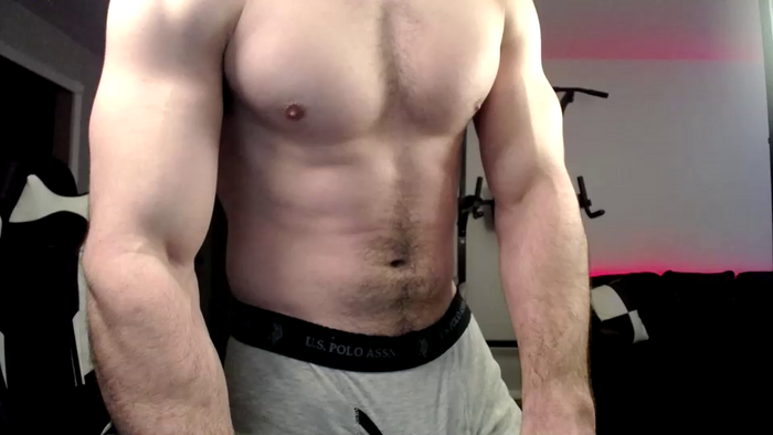 alpha_dominus_king