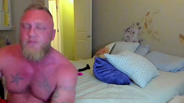 carliescott_meow
