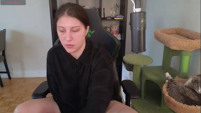 alexa_dream