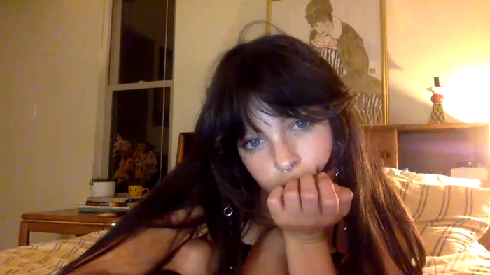 kittycat176284