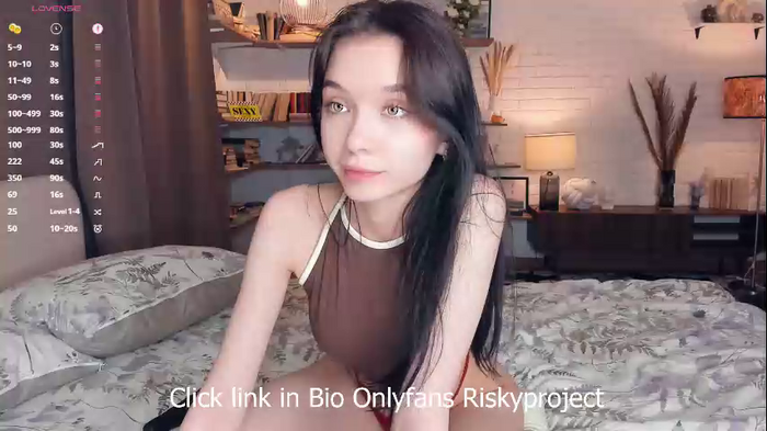 riskyproject
