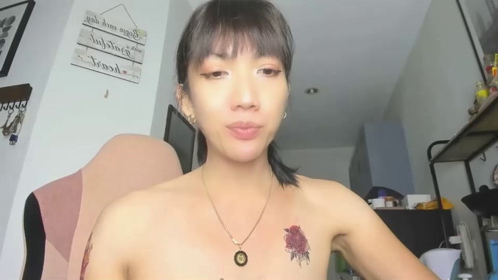 xdreamangel
