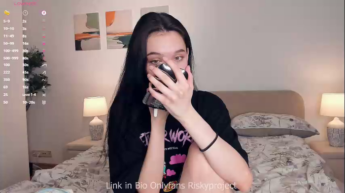 riskyproject