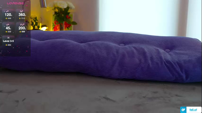 _feli_