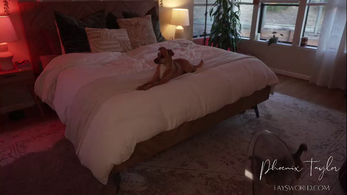 phoenix_taylor