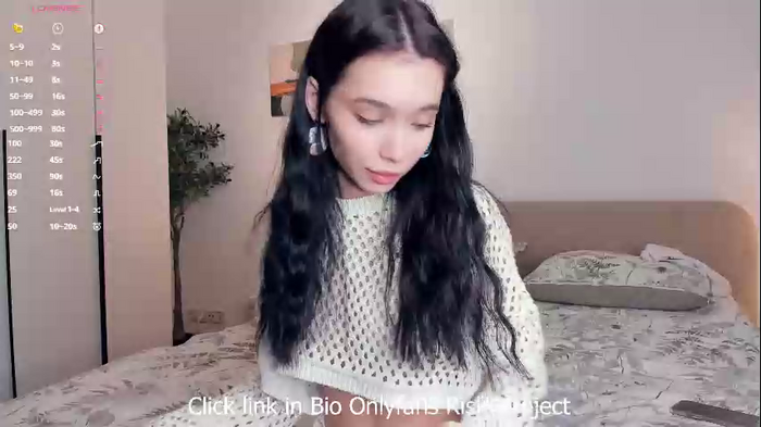riskyproject