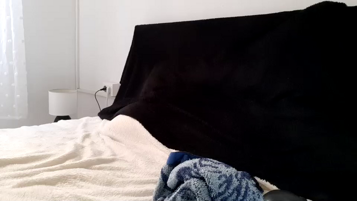 apollobest77