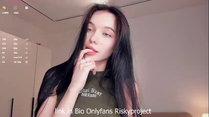 riskyproject