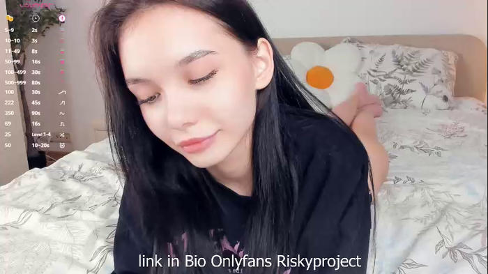riskyproject