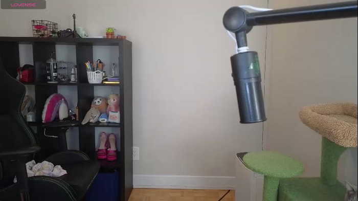 alexa_dream