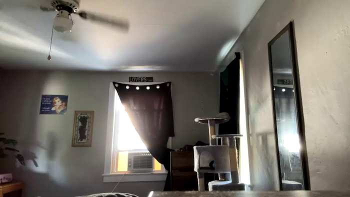 cocolobo66