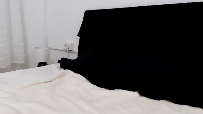 apollobest77