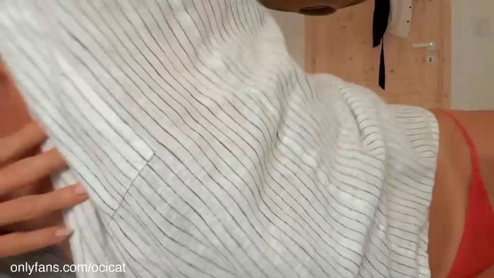 ocicat