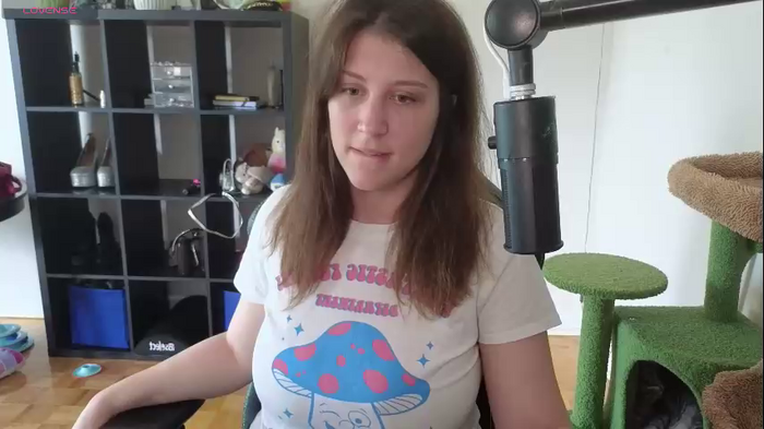alexa_dream