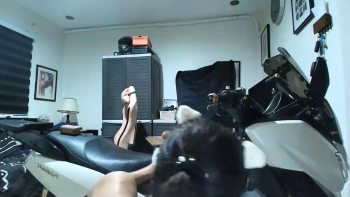 xdreamangel
