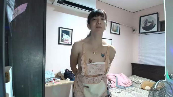 xdreamangel