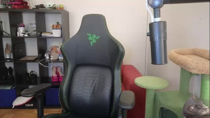 alexa_dream
