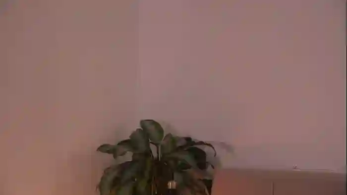 2025/07/13/chaturbate-alissa_wxw-12-12-55