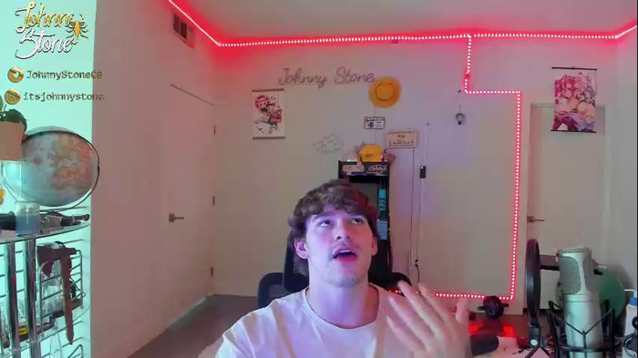 thejohnnystone