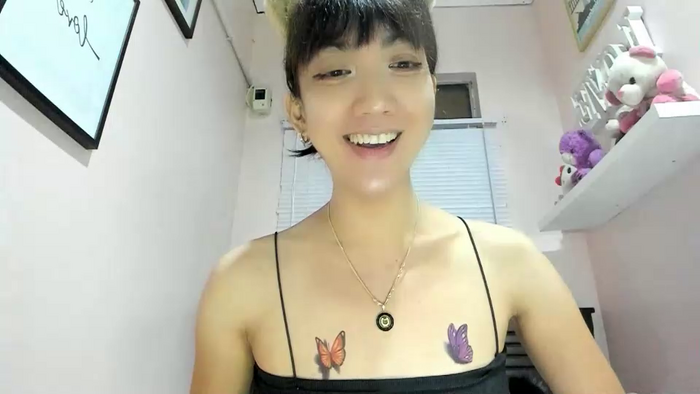 xdreamangel