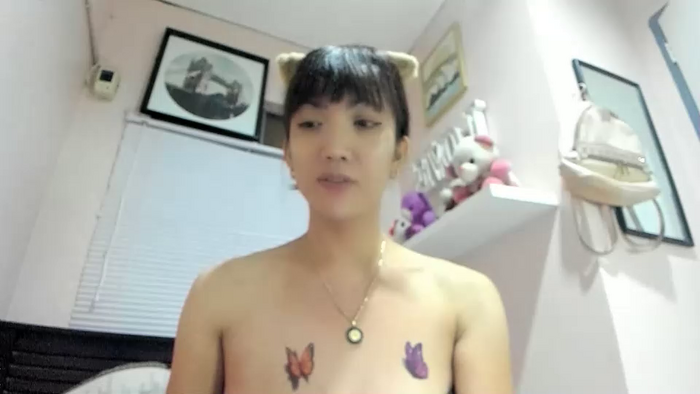 xdreamangel