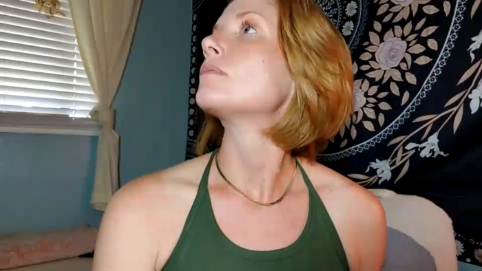 akgingersnaps