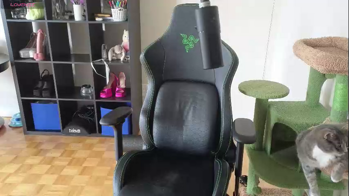 alexa_dream