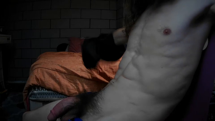 midnightwolf555