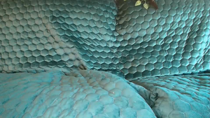 bigdicktrannynicole