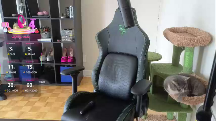 alexa_dream