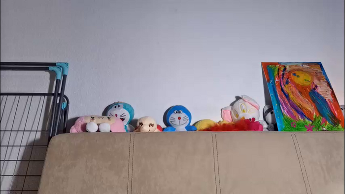 shellaspartin