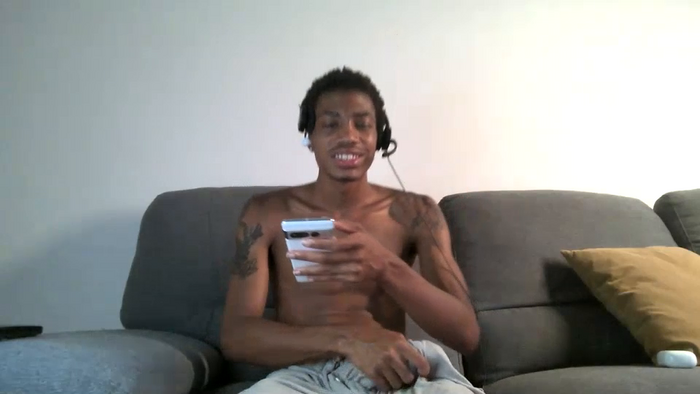 blackbulltitus