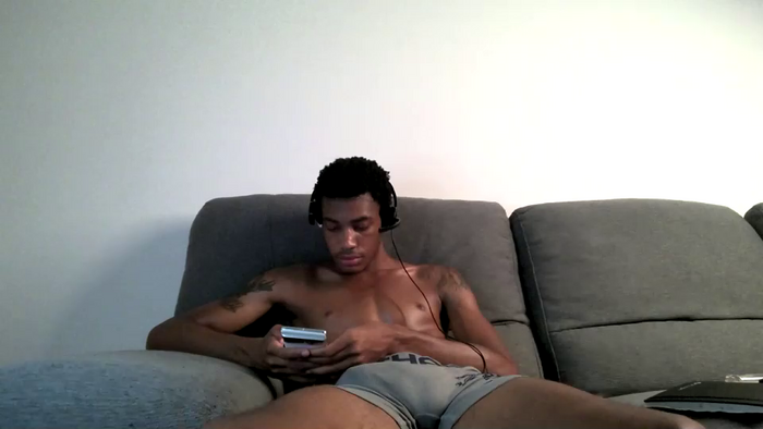 blackbulltitus