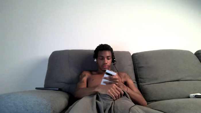 blackbulltitus