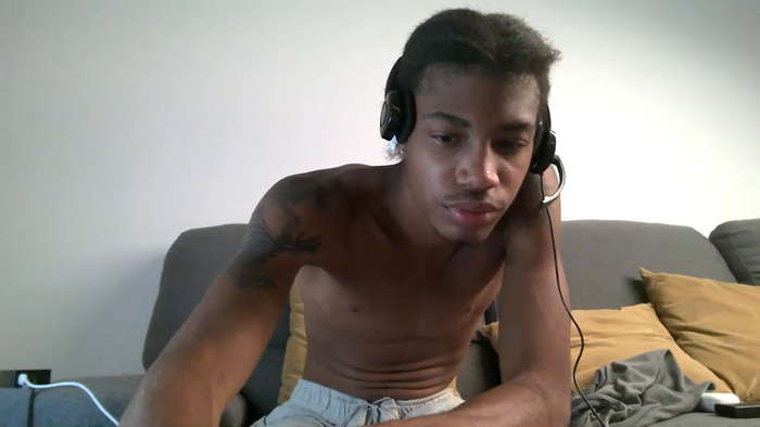 blackbulltitus