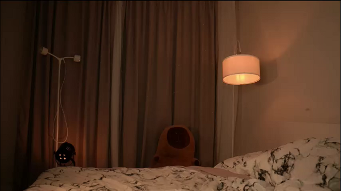 elisa_moon