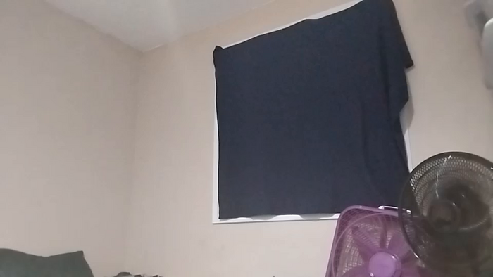transz19