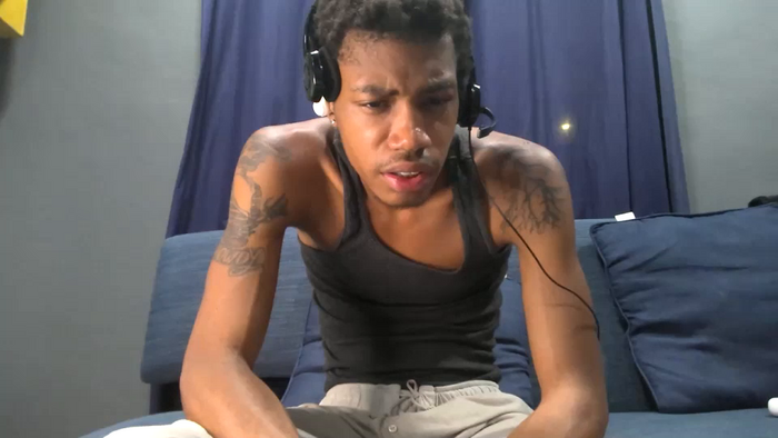 blackbulltitus