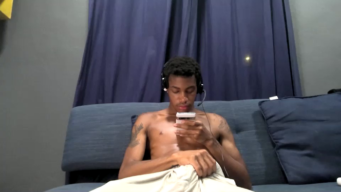 blackbulltitus