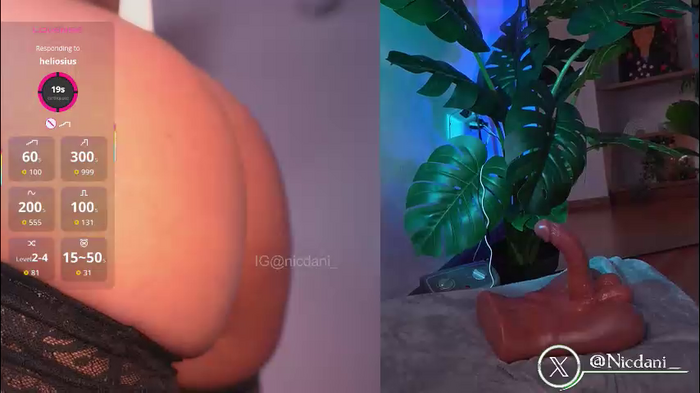 nicdani_1