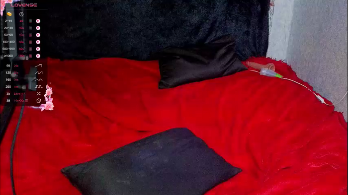 demmi_foxy